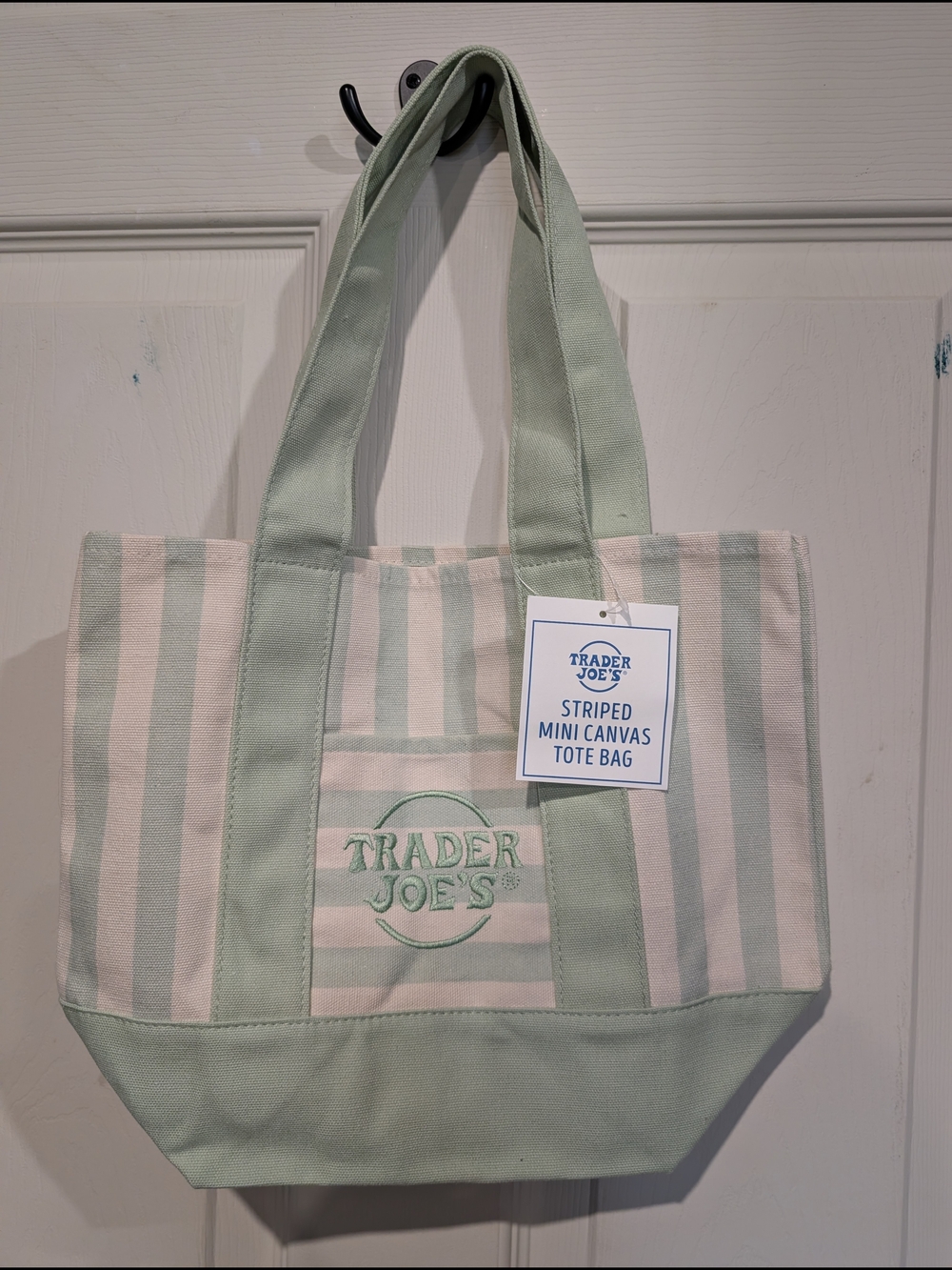 Trader Joe's Mint Stripe Canvas Mini Tote Bag